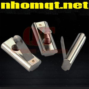 Con Trượt Rãnh Nhôm 40